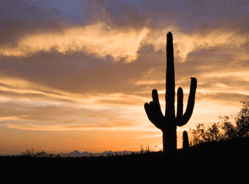 Sonoran Mountain Ranch sunset